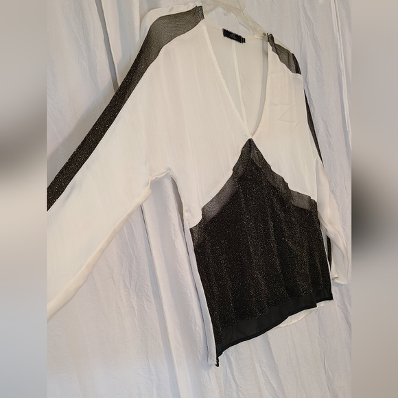 Sheer Blouse - Picture 3 of 3